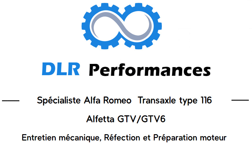 logo-fond-blanc-dlrperformances